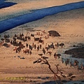 IMG_1905.jpg