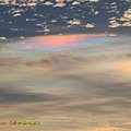 IMG_4346.jpg