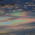 IMG_4365.jpg