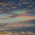 IMG_4362.jpg