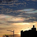 IMG_4352.jpg