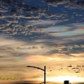 IMG_4358.jpg