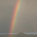 PXL_20250627_103950014.jpg