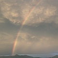 PXL_20250627_104222696.jpg