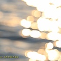 IMG_5918.jpg
