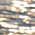 IMG_5917.jpg