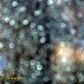 IMG_6813.jpg