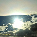 IMG_8994.jpg