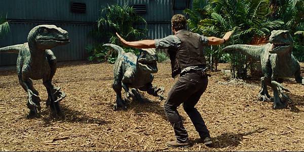 chris-pratt-velociraptor-jurassic-world.jpg