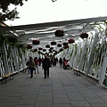 flower tunnel