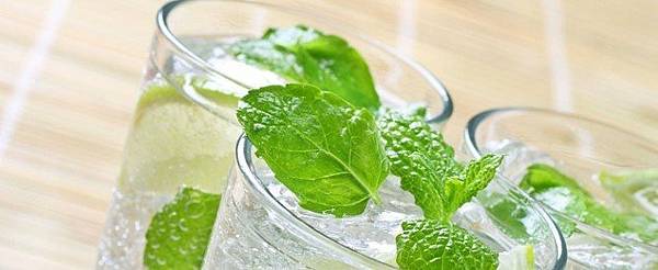 捷克國飲Mojito.jpg