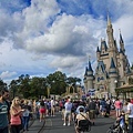 magic kingdom