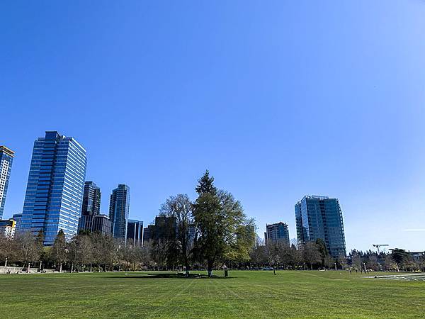 Bellevue downtown