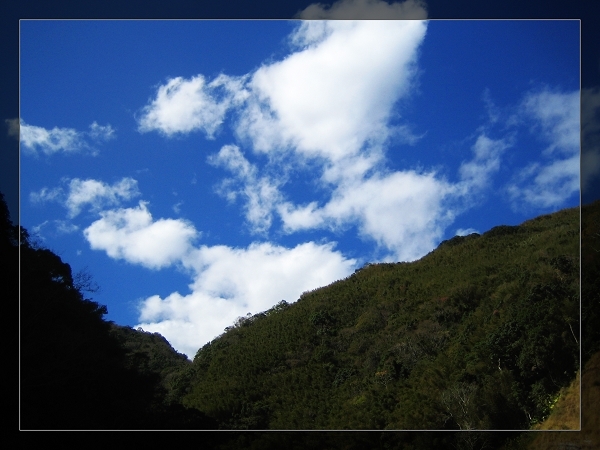 這樣的美景