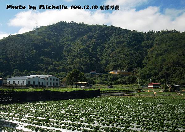 草莓園