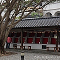 121-IMG_5136_日期.jpg