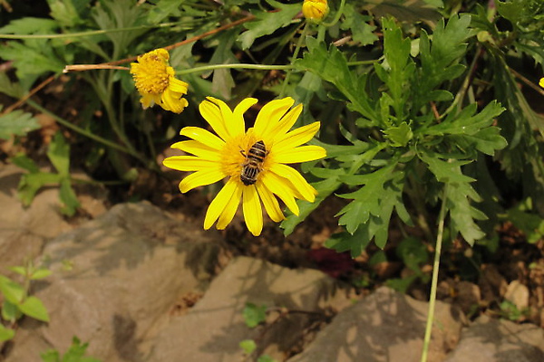 DSC06629.JPG