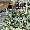 IMG_7157.jpeg