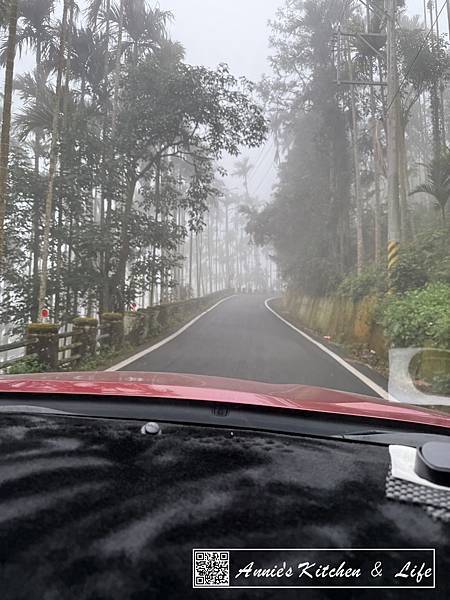 阿里山輕旅行｜去了不少首次去的景點、奮起湖便當美食與家園民宿