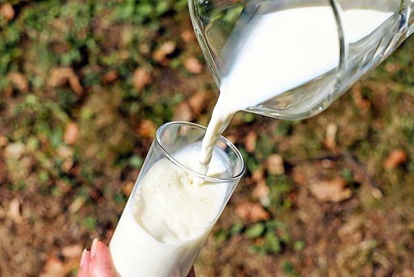 乳糖不耐症飲食注意事項 乳糖不耐症飲食注意事項