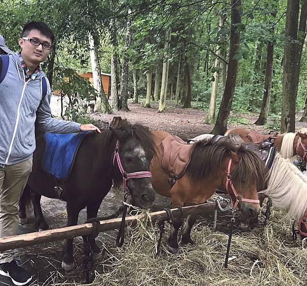 Day4童話小鎮 🍦wild park🦌_180821_0096.jpg