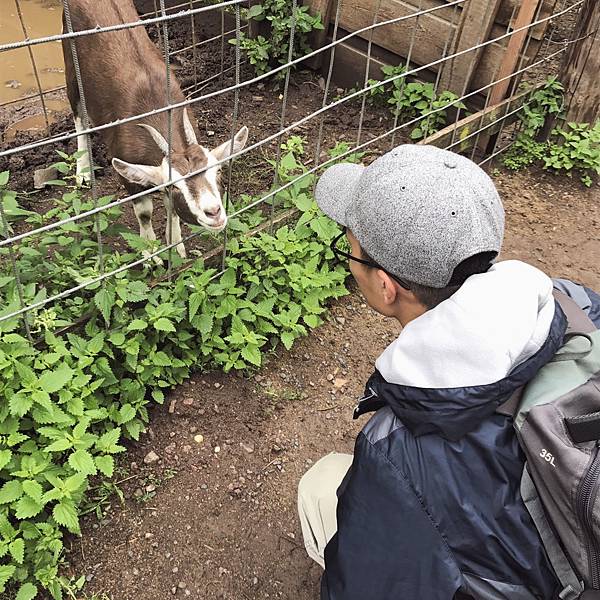 Day4童話小鎮 🍦wild park🦌_180821_0108.jpg