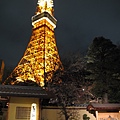 Restaurant and Tokyo tower 東京塔前的餐廳