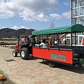 Tourist car in the garden.JPG