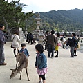 a lot of people visit Miyashima.JPG