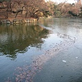 昌慶宮---秀萍說它是國際換日線一邊是冰一邊是水