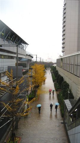 漂亮的街道~雖然剛下完雨