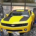 BUMBLEBEE~~