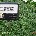 20110101~0417 301.jpg