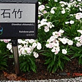 20110101~0417 302.jpg