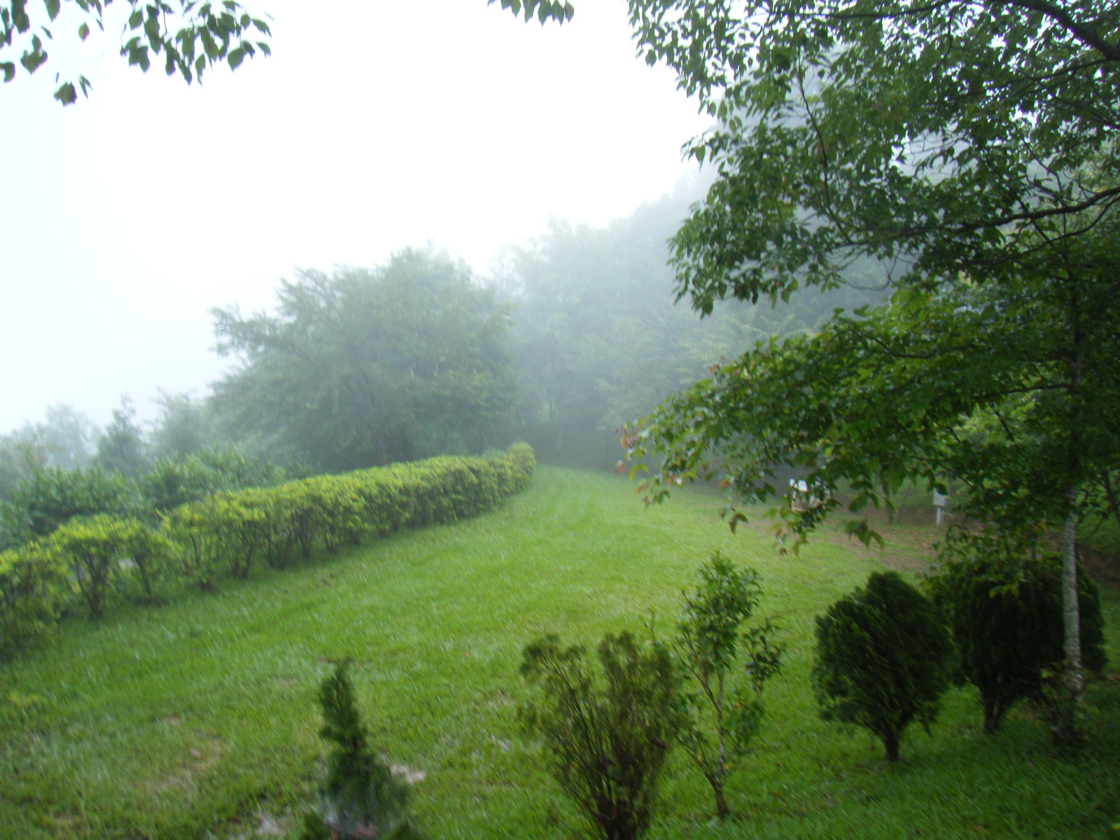 水田營地10