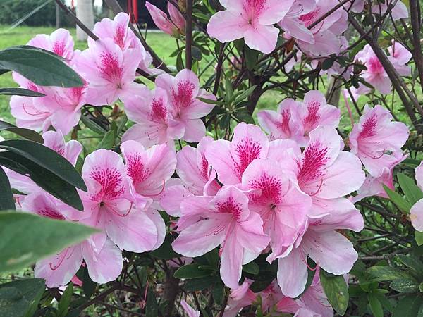 從事媒體傳播行銷業勞健保是可以加入企劃從業人員職業工會 從事媒體傳播行銷業勞健保是可以加入企劃從業人員職業工會