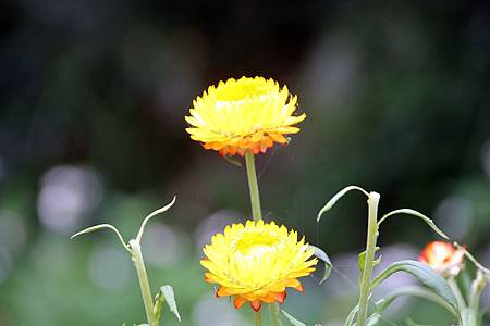 微笑_180423_0014.jpg 微笑_180423_0014.jpg