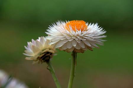 微笑_180423_0022.jpg 微笑_180423_0022.jpg