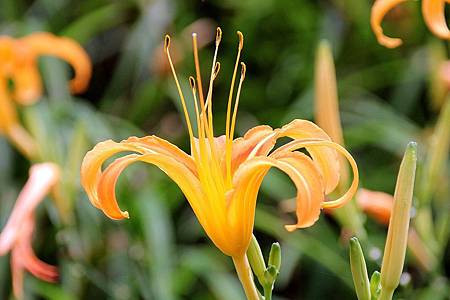 自辦活動成品照_180925_0044.jpg 自辦活動成品照_180925_0044.jpg