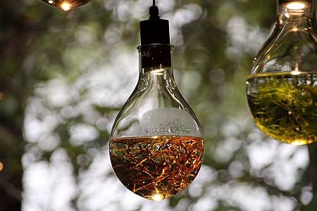 自辦活動成品照_181015_0066.jpg 自辦活動成品照_181015_0066.jpg