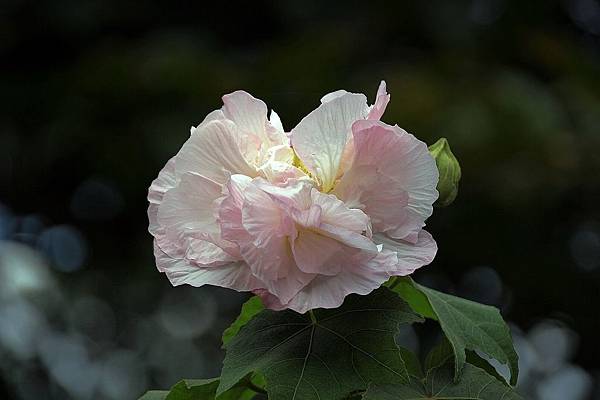 自辦活動成品照_180925_0047.jpg 自辦活動成品照_180925_0047.jpg