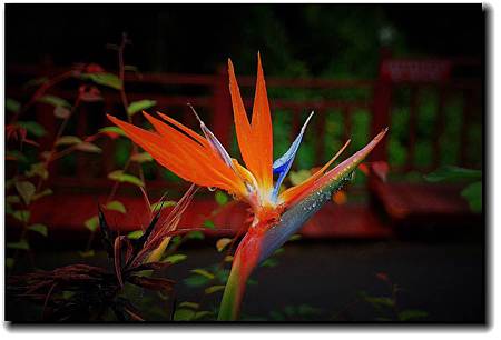 百貨_190311_0013.jpg 百貨_190311_0013.jpg