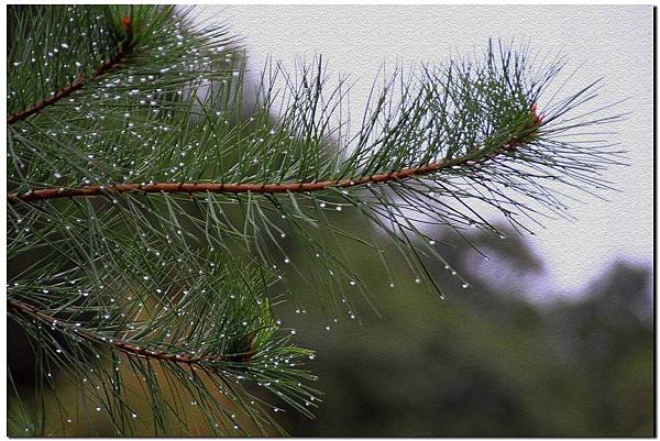 百貨_190311_0023.jpg 百貨_190311_0023.jpg