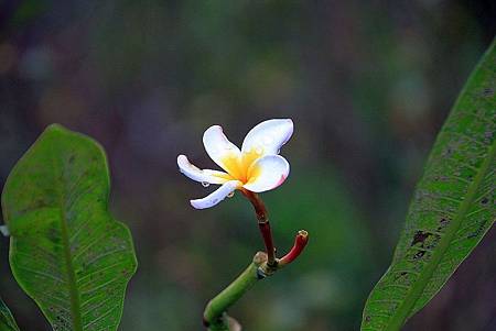 百貨_190311_0027.jpg 百貨_190311_0027.jpg