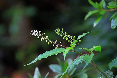 百貨_190311_0020.jpg 百貨_190311_0020.jpg