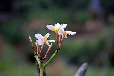 百貨_190311_0028.jpg 百貨_190311_0028.jpg