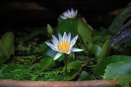 百貨_190311_0030.jpg 百貨_190311_0030.jpg