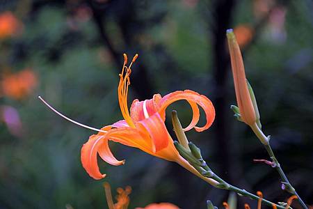 自辦活動成品照_180925_0035.jpg 自辦活動成品照_180925_0035.jpg