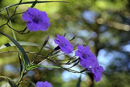 自辦活動成品照_180925_0037.jpg 自辦活動成品照_180925_0037.jpg