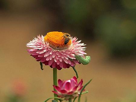 微笑_180430_0066.jpg 微笑_180430_0066.jpg